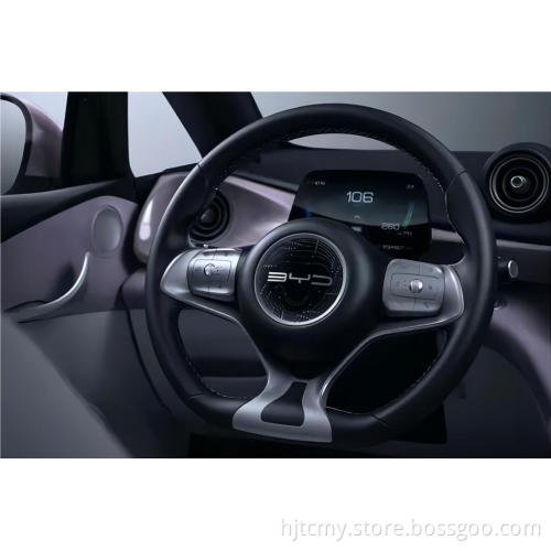 2023 Vendita calda Byd Dolphin Electric Car